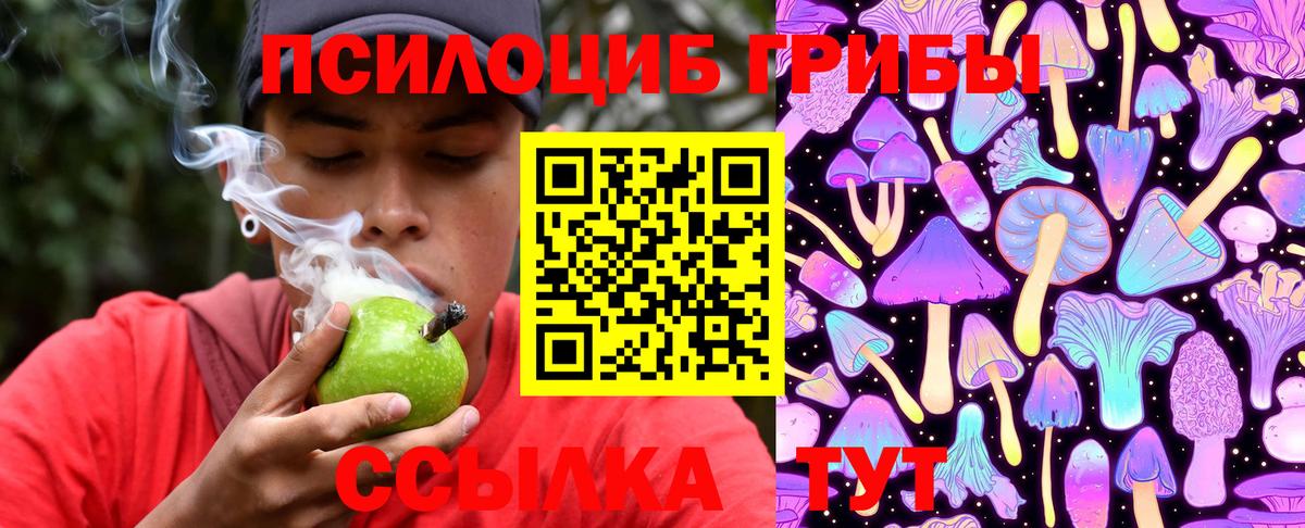 Добрянка  Галлюциногенные грибы MAGIC MUSHROOMS  Вход с VPN 