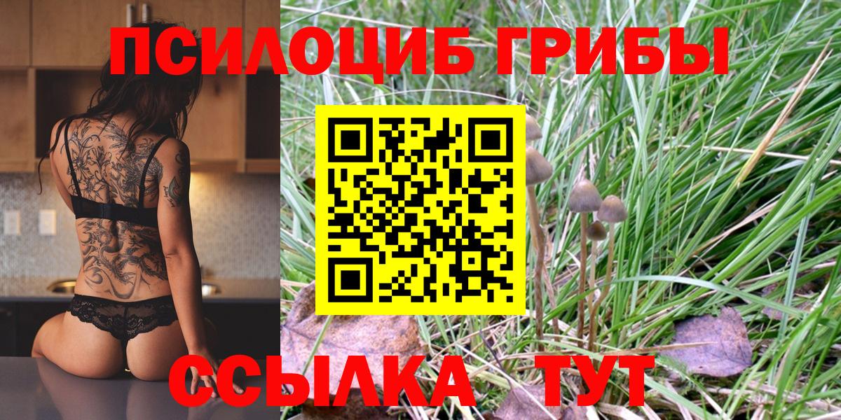 Галлюциногенные грибы Magic Shrooms Добрянка